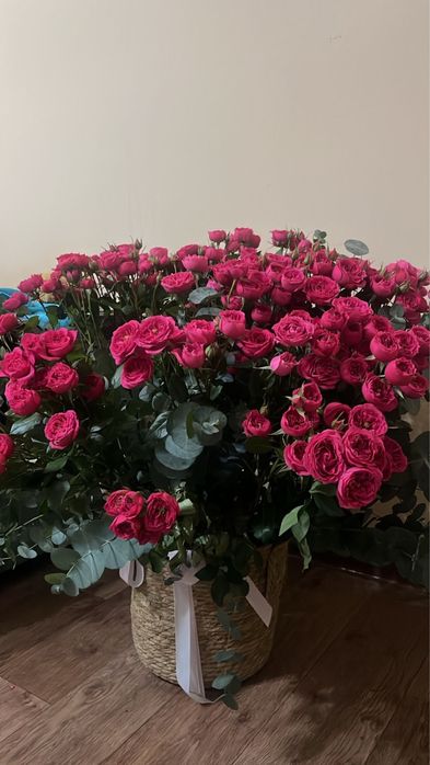 Цветы розы кустовые