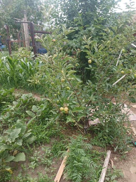 Продам 3 ком. Кв.