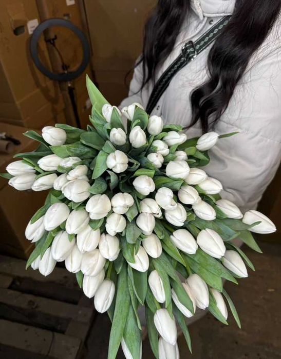 Тюльпаны оптом Астана к 8 марта 2026