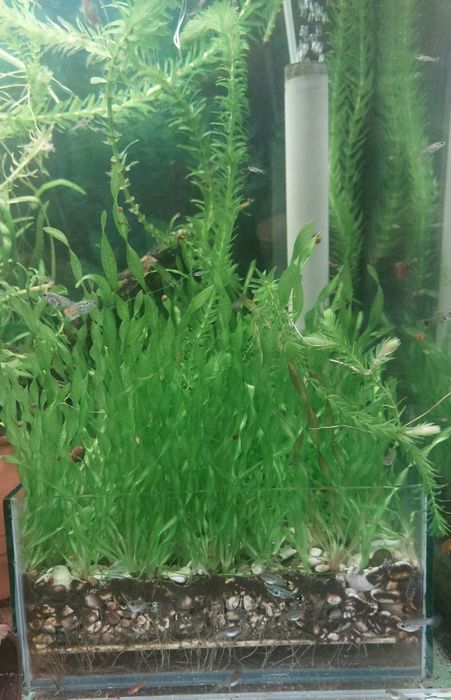 Аква.Фильтр Продам!!!