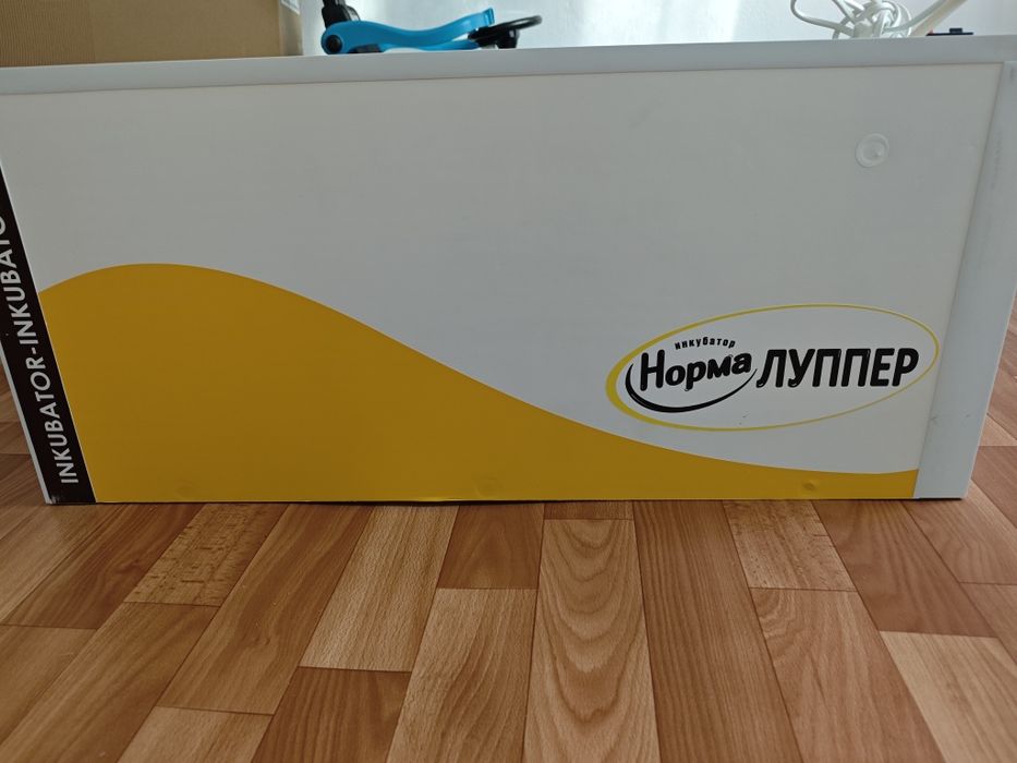 Норма Луппер 72 сатылады.