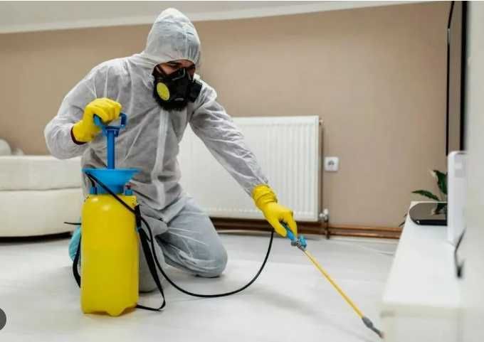 Дезинфекция на вызов