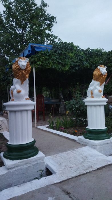 Узбеки профессионали