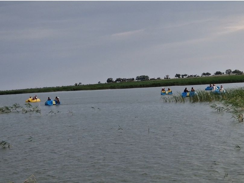 Катамараны Zig-Zag