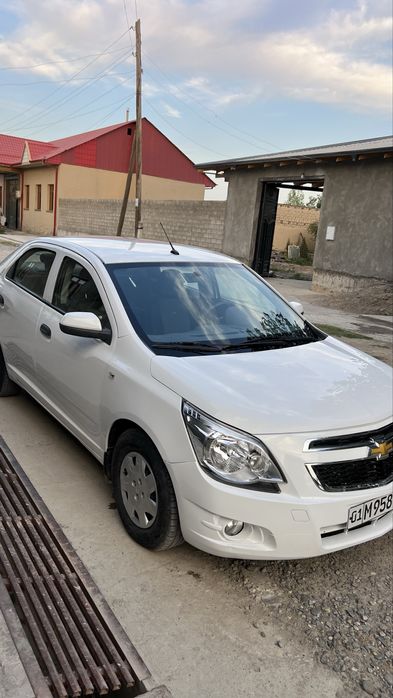 2019 Moshina bir qoʻl egadan