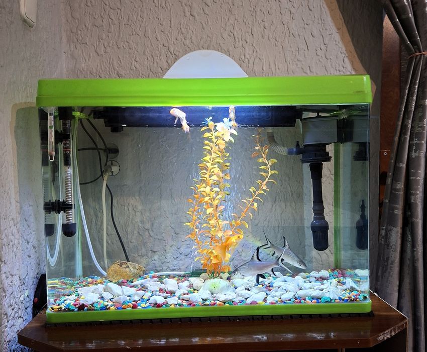 Аквариум заводской