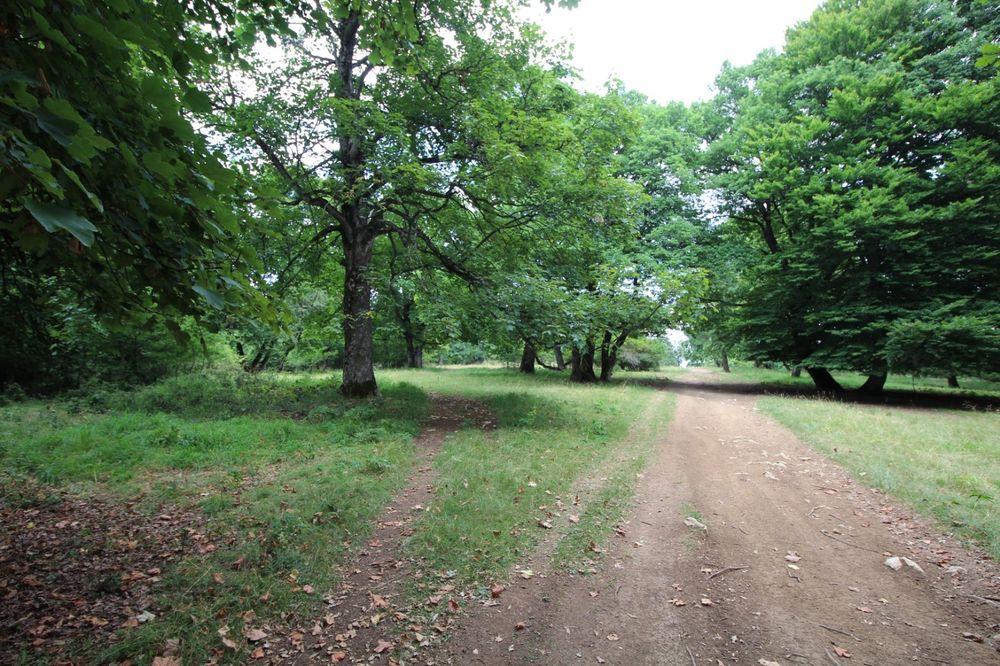 Teren Poiana Brașov 4713 mp-Zona de investiție  teren lângă Sergiana