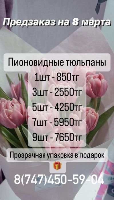 Тюльпаны Семей !!!