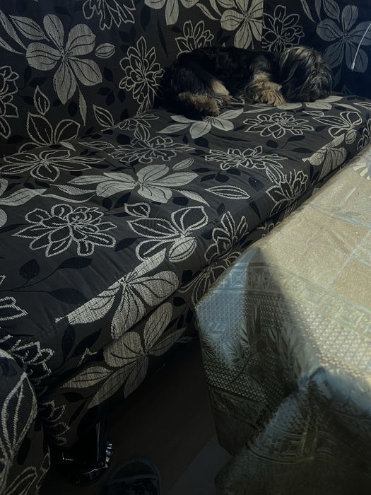 Передержка для собак в частном доме