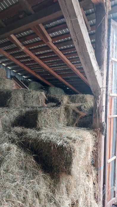 Vând fân și otavă