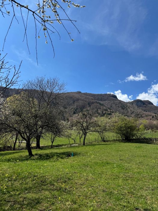 Teren in Bran Predelut la poale de munte intravilan