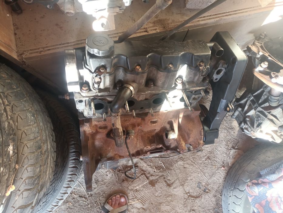 Нексиге маторлар бар