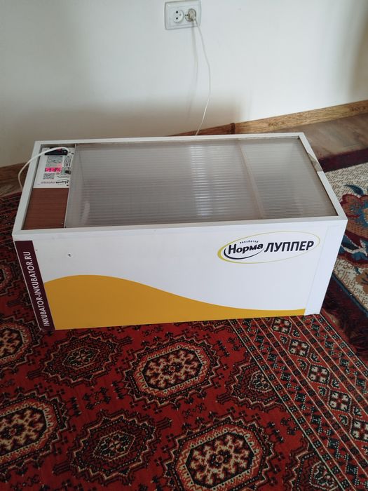 Инкубатор блиц норма луппер c10