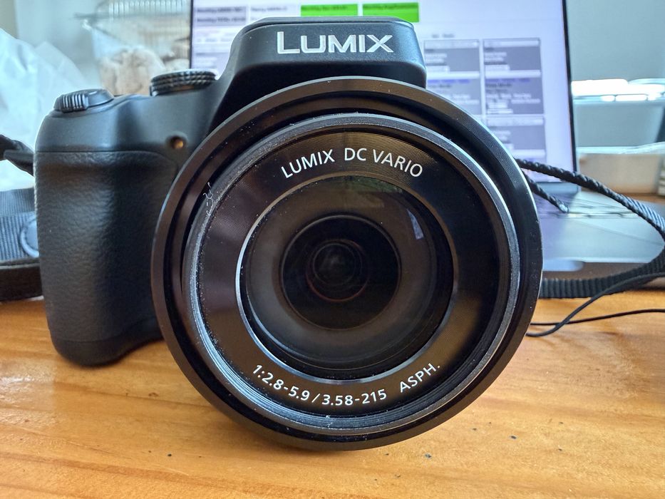 Aparat foto Panasonic Lumix DC-FZ82