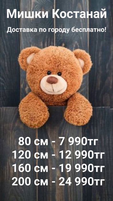 Плюшевые мишки 7990