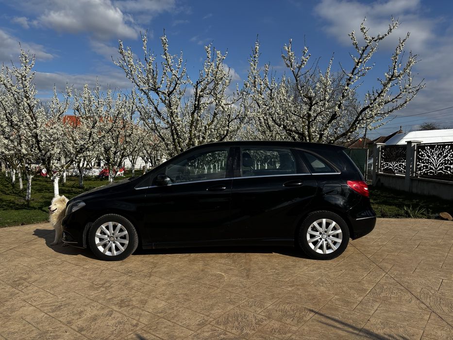MERCEDES-BENZ B-Class 2014 — imagine 4