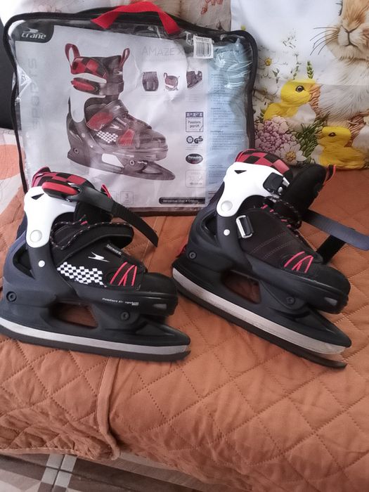 Patine  profesionale de gheata