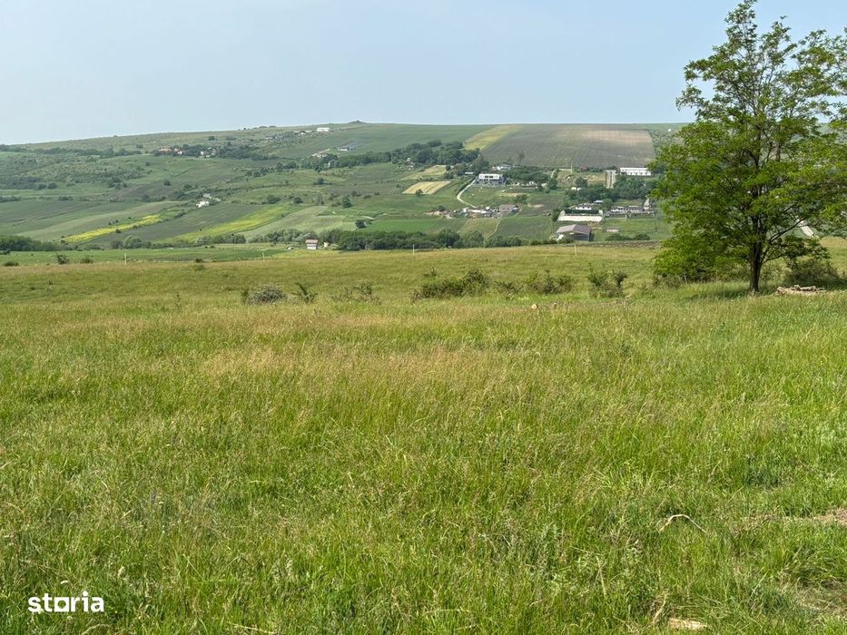 Oportunitate! Parcele Dealul Fanatelor