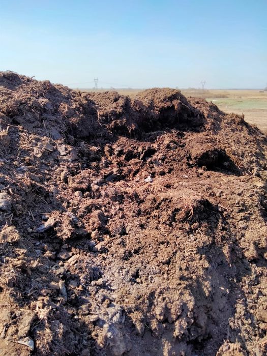 Перегной перегнивший чистый