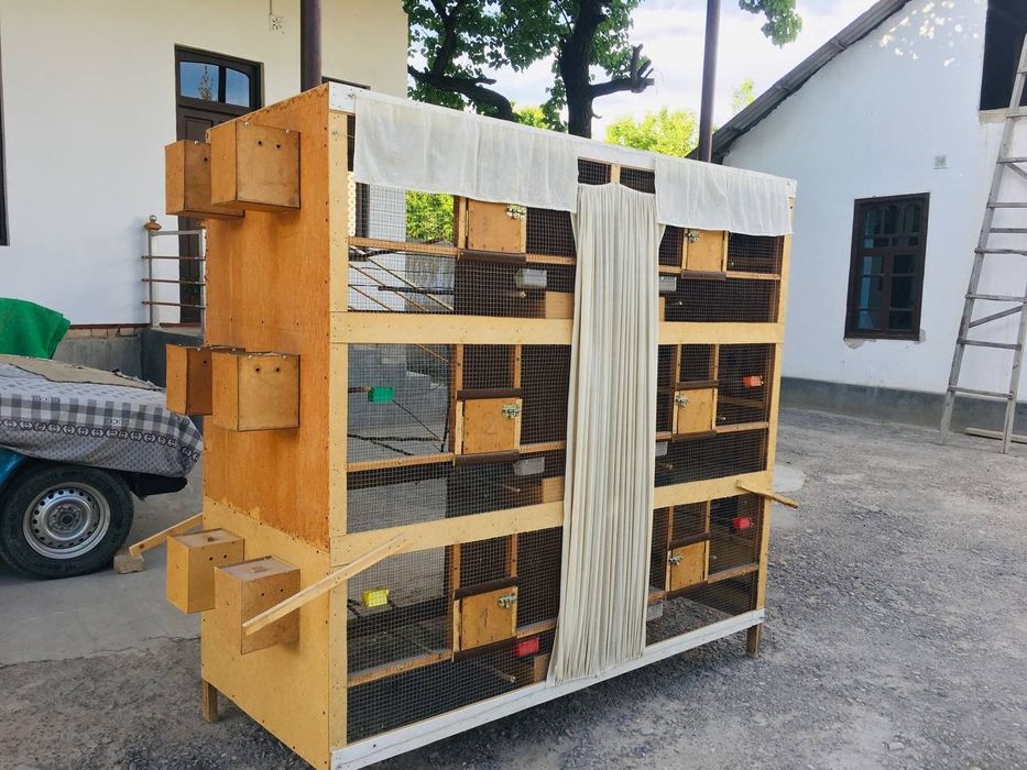 Qushlar qafasi qushlar uchun