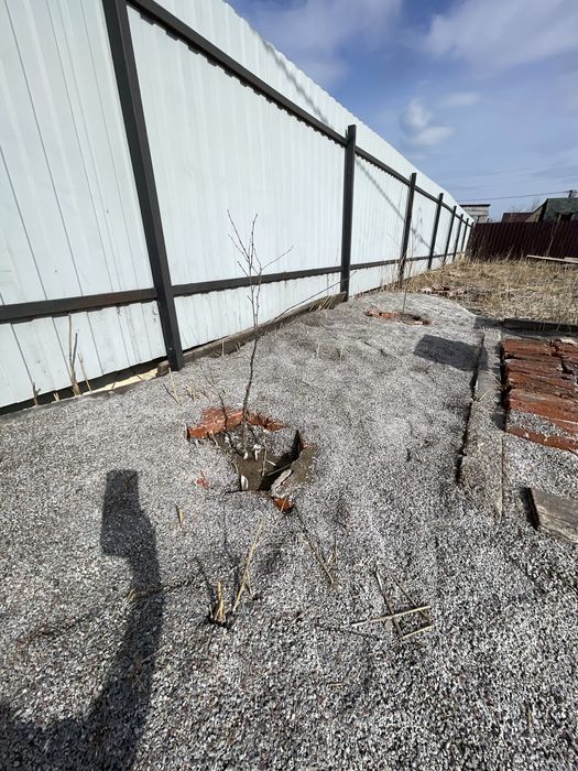 Продам дачу Пестрое 2-я линия