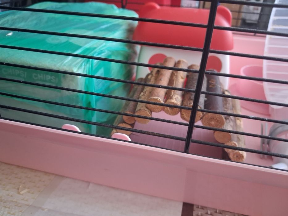 Căsuța pentru hamsteri
