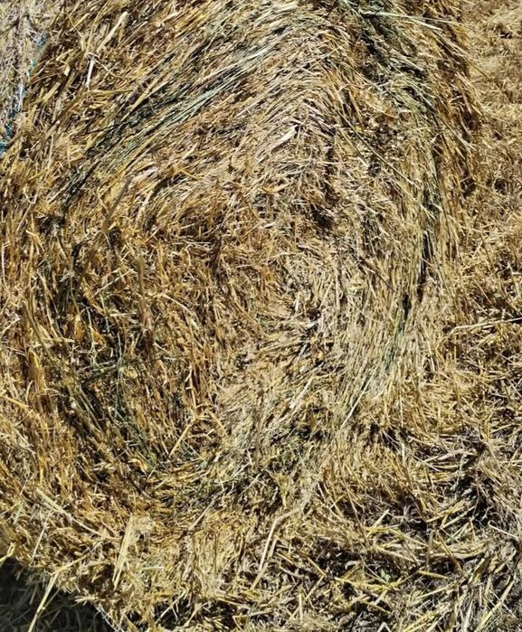 Baloți miriște cu paie