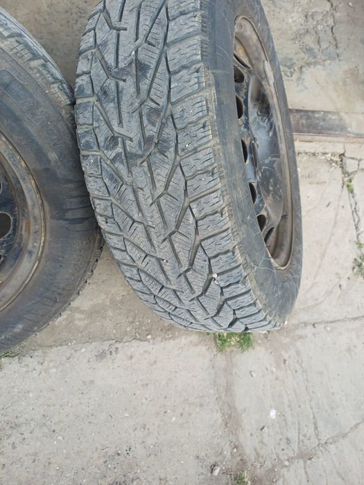 3 seturi jenti skoda