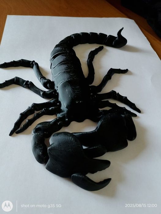 Продается скорпион