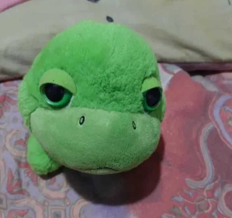 Adorabilul Oachy