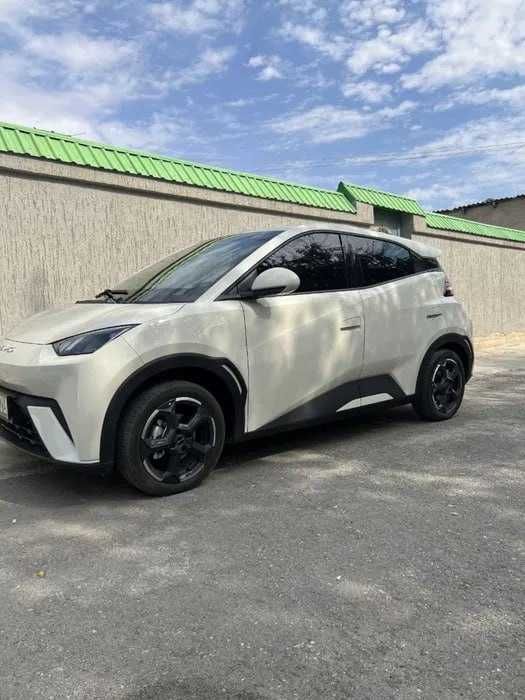 BYD Seagull Naqt va Rassrochkaga