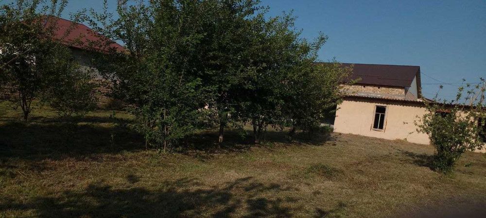 12 sotixli uchastka sotiladi (vremenkasi, meva daraxtlari bor) .