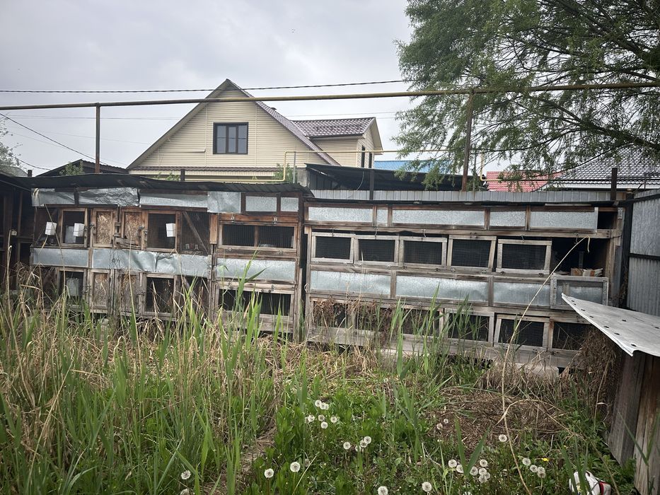 Клетки для кролов , крольчатник