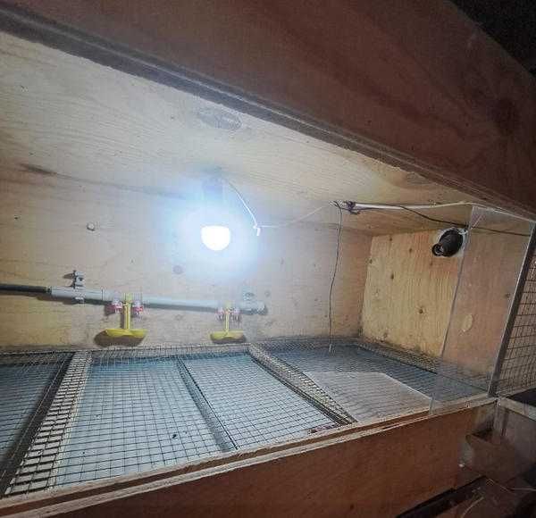 Продам брудер для цыплят