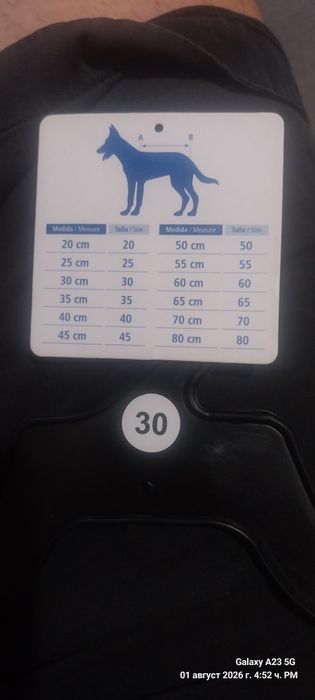 Дрешки за мъжко куче.