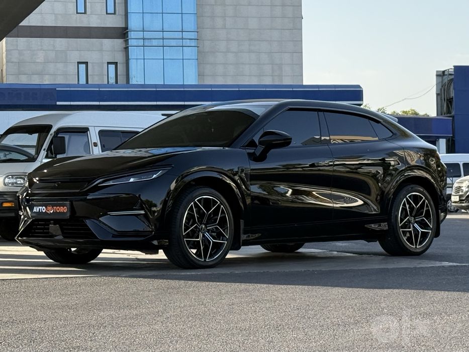 BYD Song L Beyond 2024 год