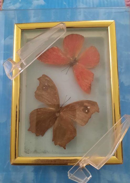 Панно Бабочки 1997 год