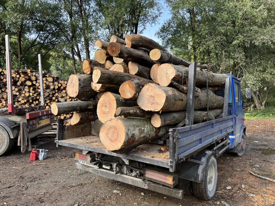 Lemn de foc 3,5CUB