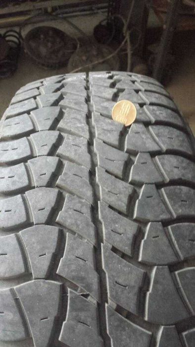 4 roti off-road Renault Scenic RX4