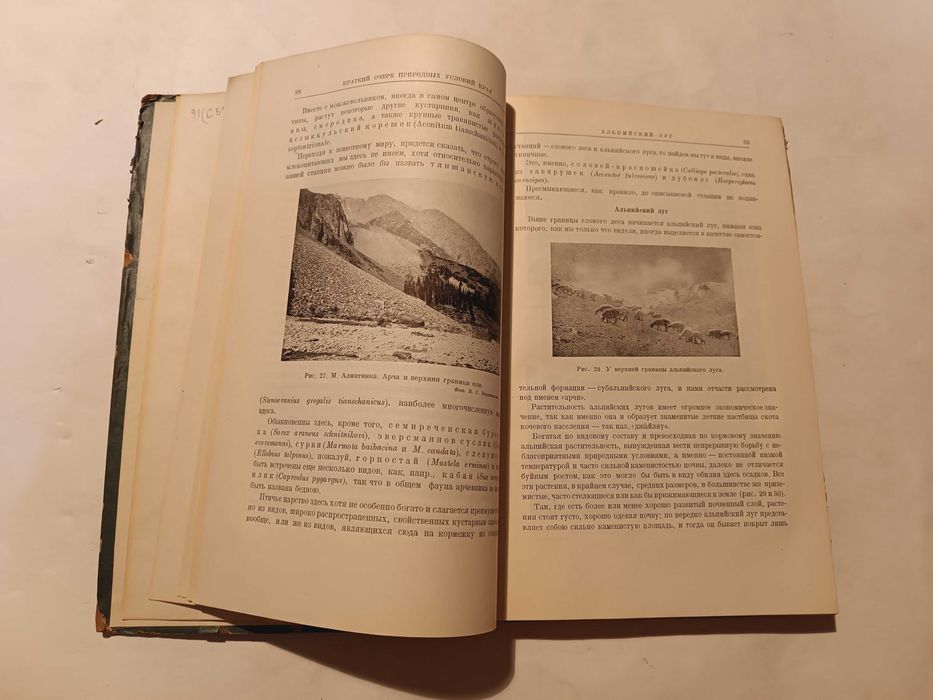 1936 Млекопитающие Семиречья Шнитников