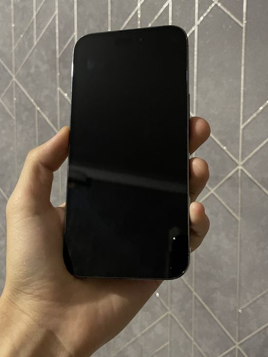 iPhone 14 Pro Max