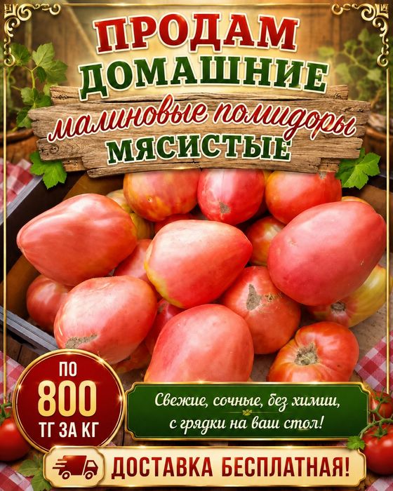 Продам домашние помидоры