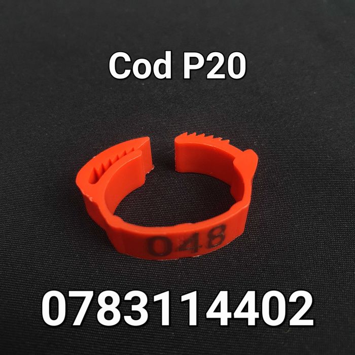 Curci Australorp Sussex Pasari Gaini Gaste Fazani-CLEME Ajustabile-P20