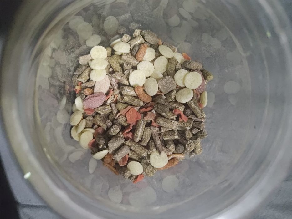 Корм для рептилий