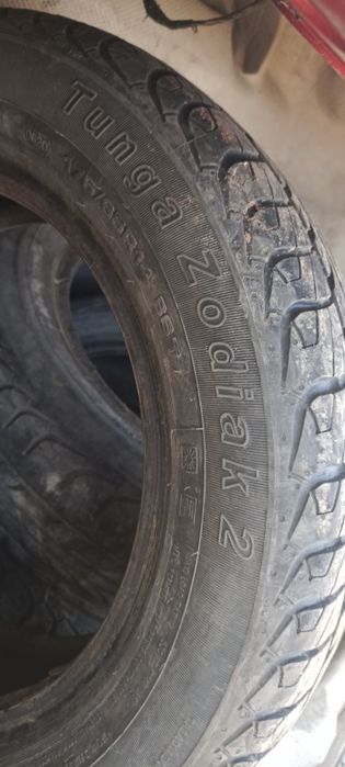 Продам шины тунга зодиак 2