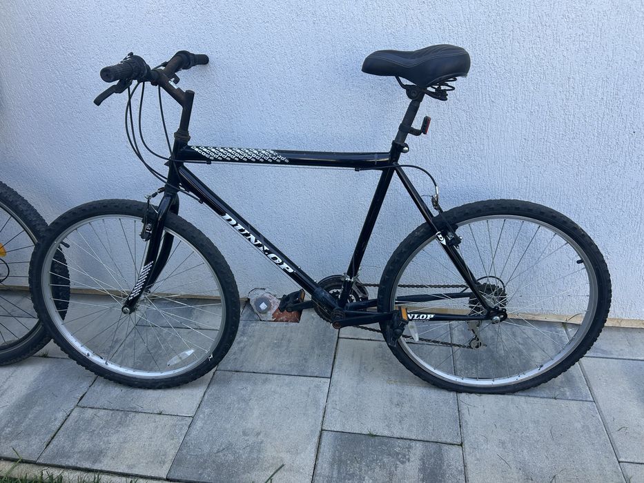 Bicicleta dunlop 26