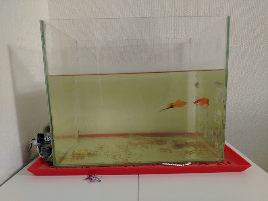 Аквариум 30 литр