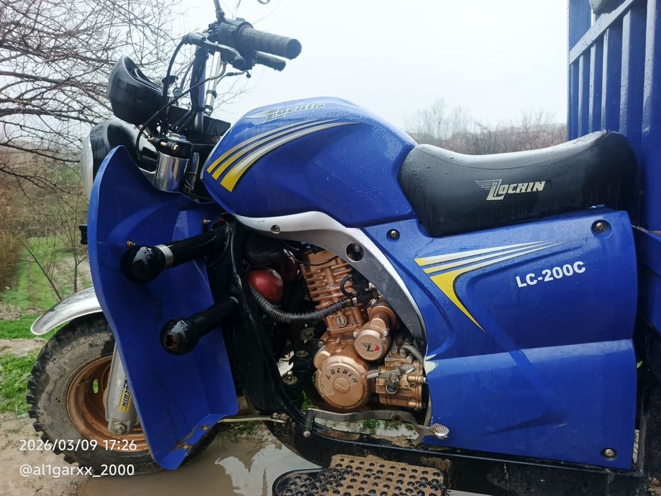 Lochin 2024 yil holati yaxshi