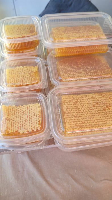 Пчелна пита с мед / мед в пита /  мед с разпечатка РЕКОЛТА 2025