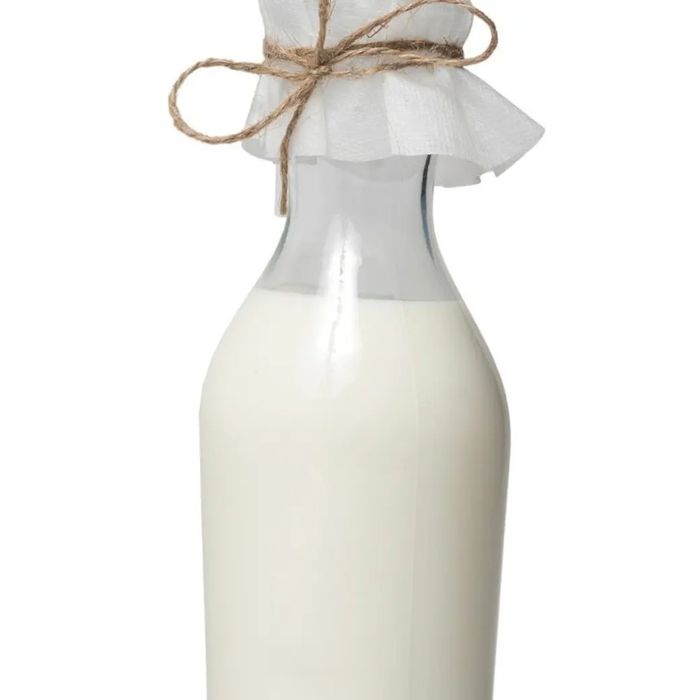 Продажа молочного гриба